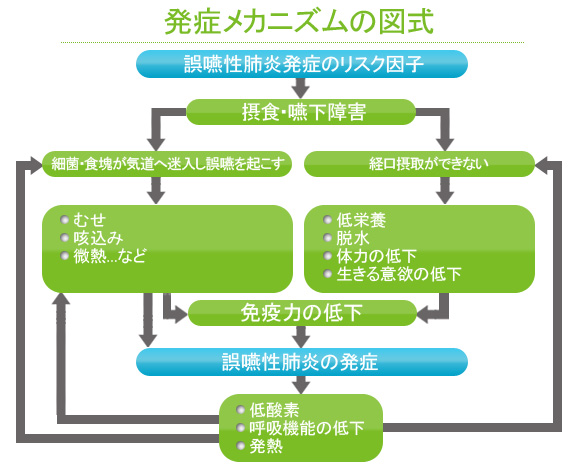 発症メカニズムの図式